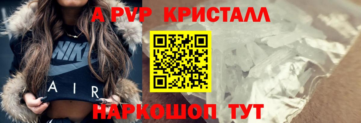 A-PVP СК Новошахтинск