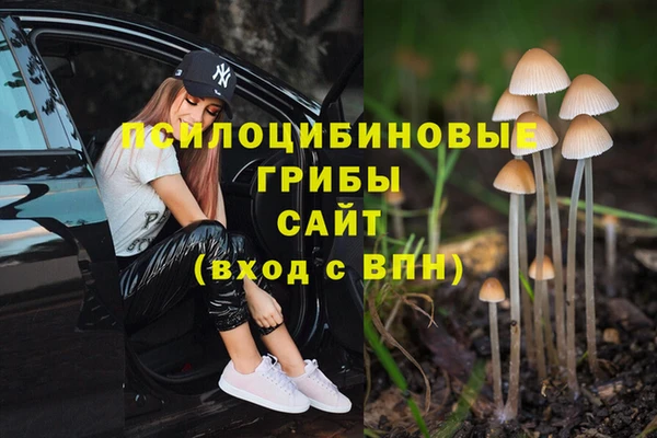 прущие крисы Лагань