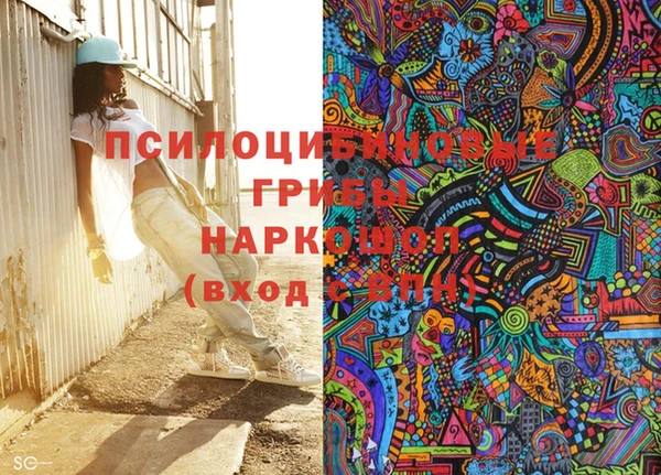амф Ладушкин