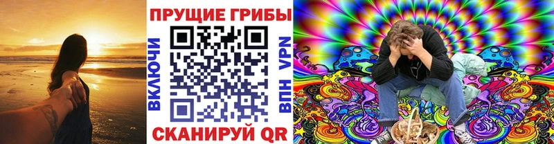 Галлюциногенные грибы мухоморы  что такое наркотик  Новошахтинск 