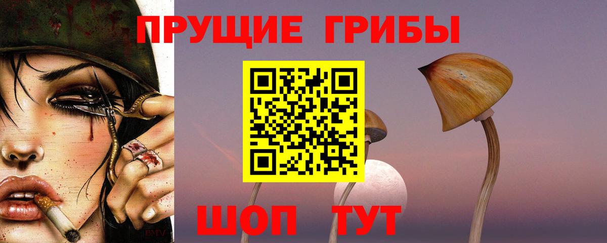 магазин    Новошахтинск  Псилоцибиновые грибы мицелий 